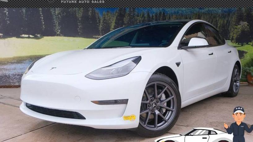 TESLA MODEL 3 2022 5YJ3E1EA2NF306793 image